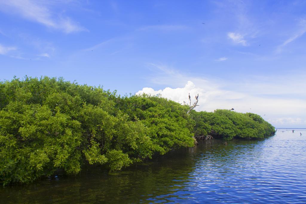 San Felipe Inn Yucatan 외부 사진